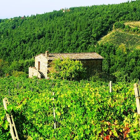 Agriturismo Piemaggino Castellina in Chianti Exterior foto