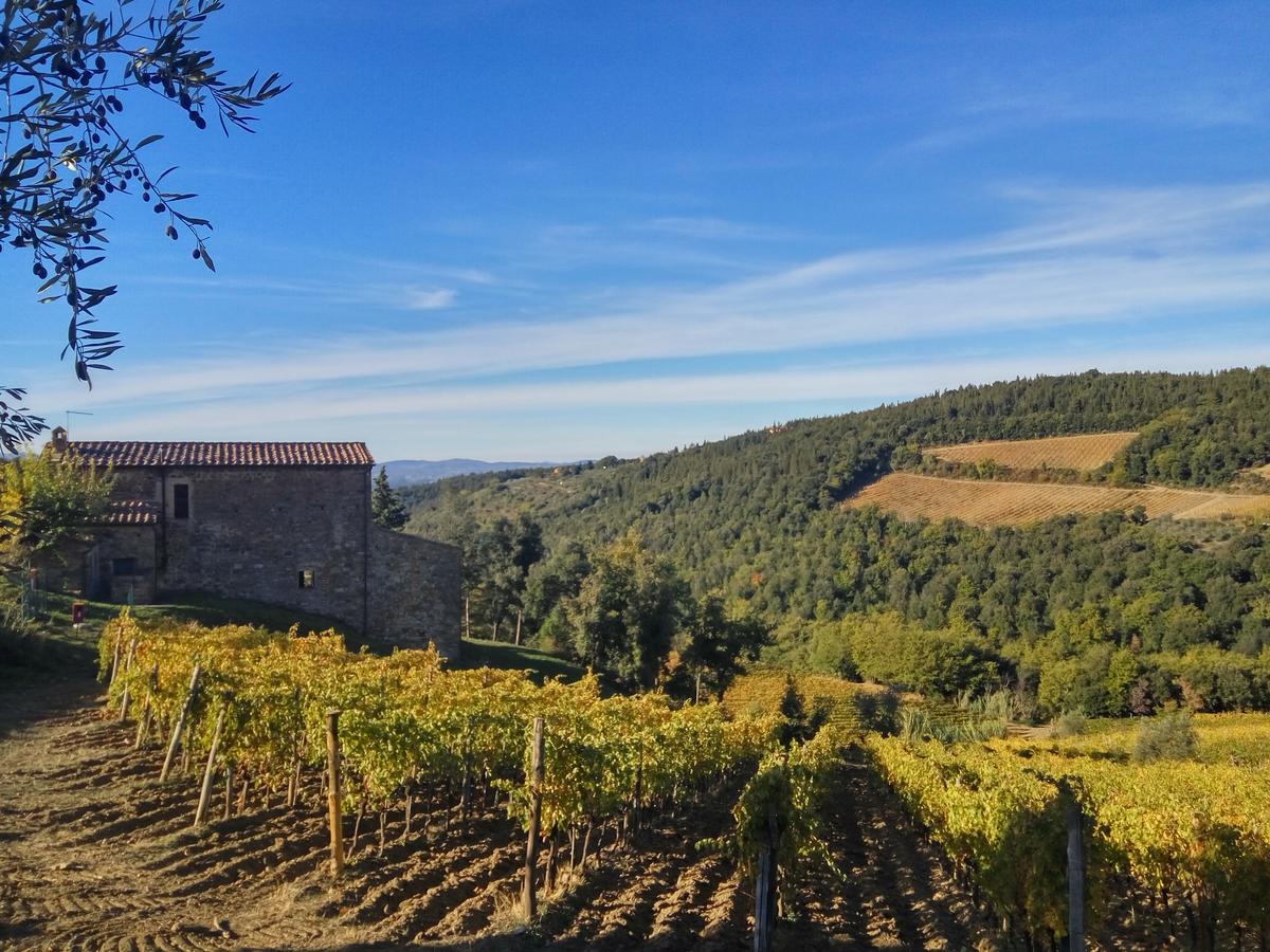 Agriturismo Piemaggino Castellina in Chianti Exterior foto